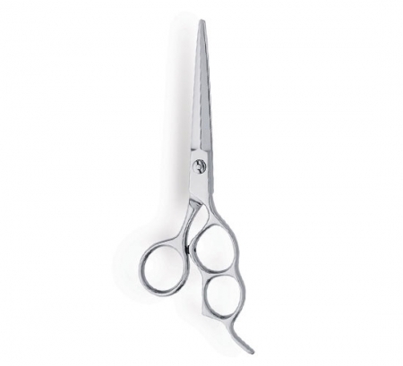 Professional Hair Cutting Scissor